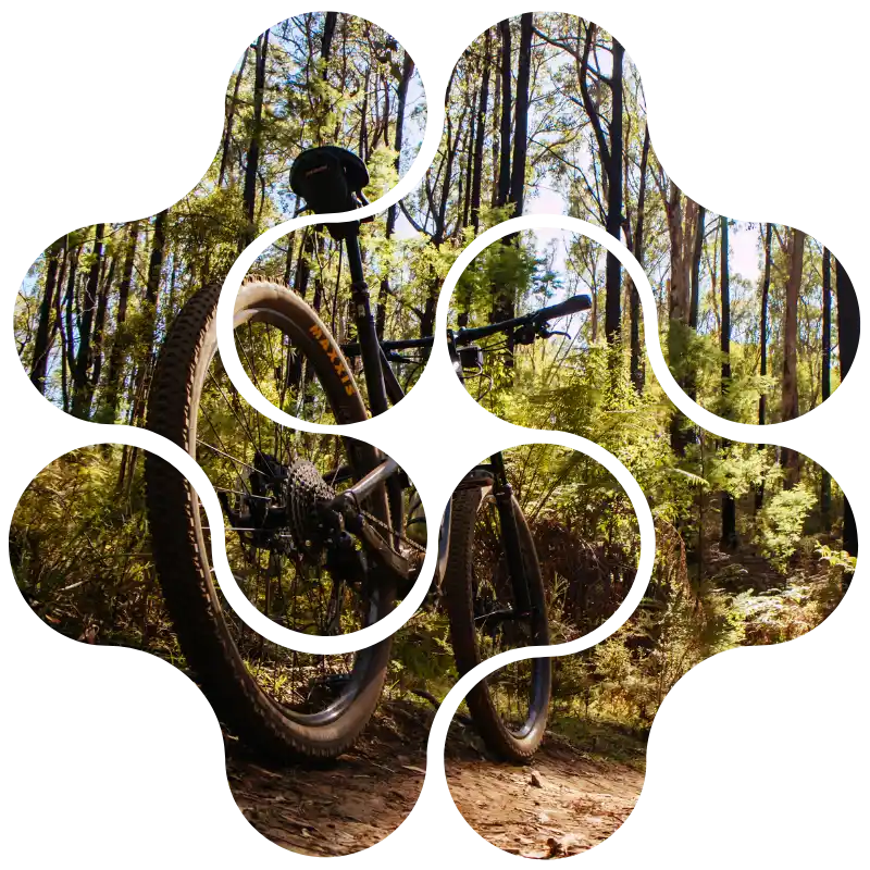 Come pianificare l'escursione giornaliera perfetta in sella a una mountain bike elettrica senza stress fisici